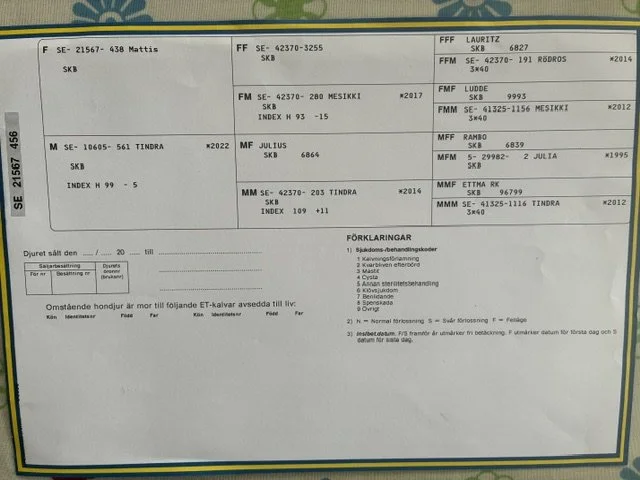 Rödkulletjur säljes i Västmanland 