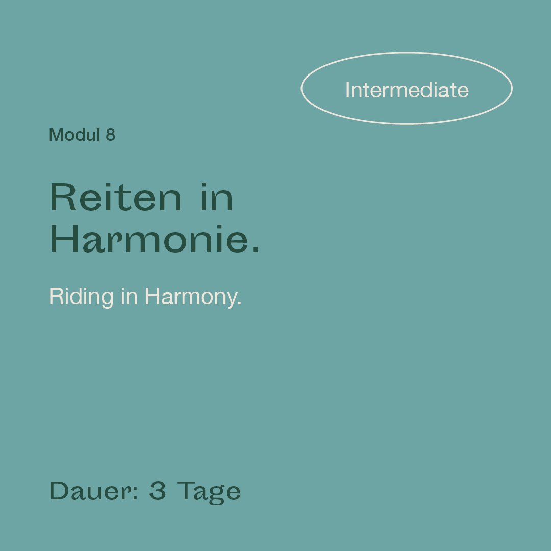 mrlce-intermediate-modul-8.jpg
