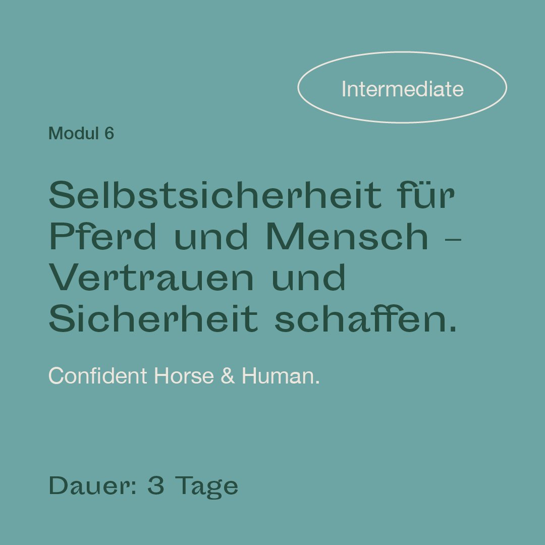 mrlce-intermediate-modul-6.jpg