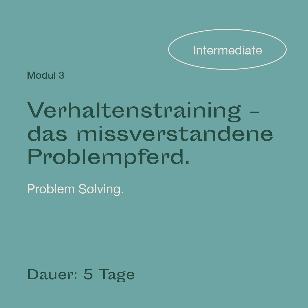 mrlce-intermediate-modul-3.jpg
