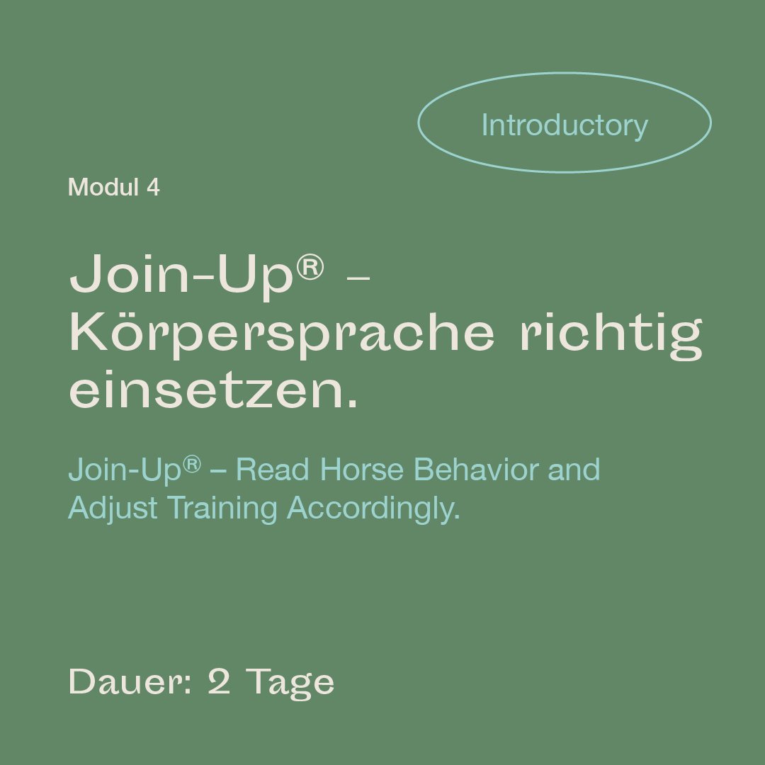mrlce-introductory-modul-4.jpg
