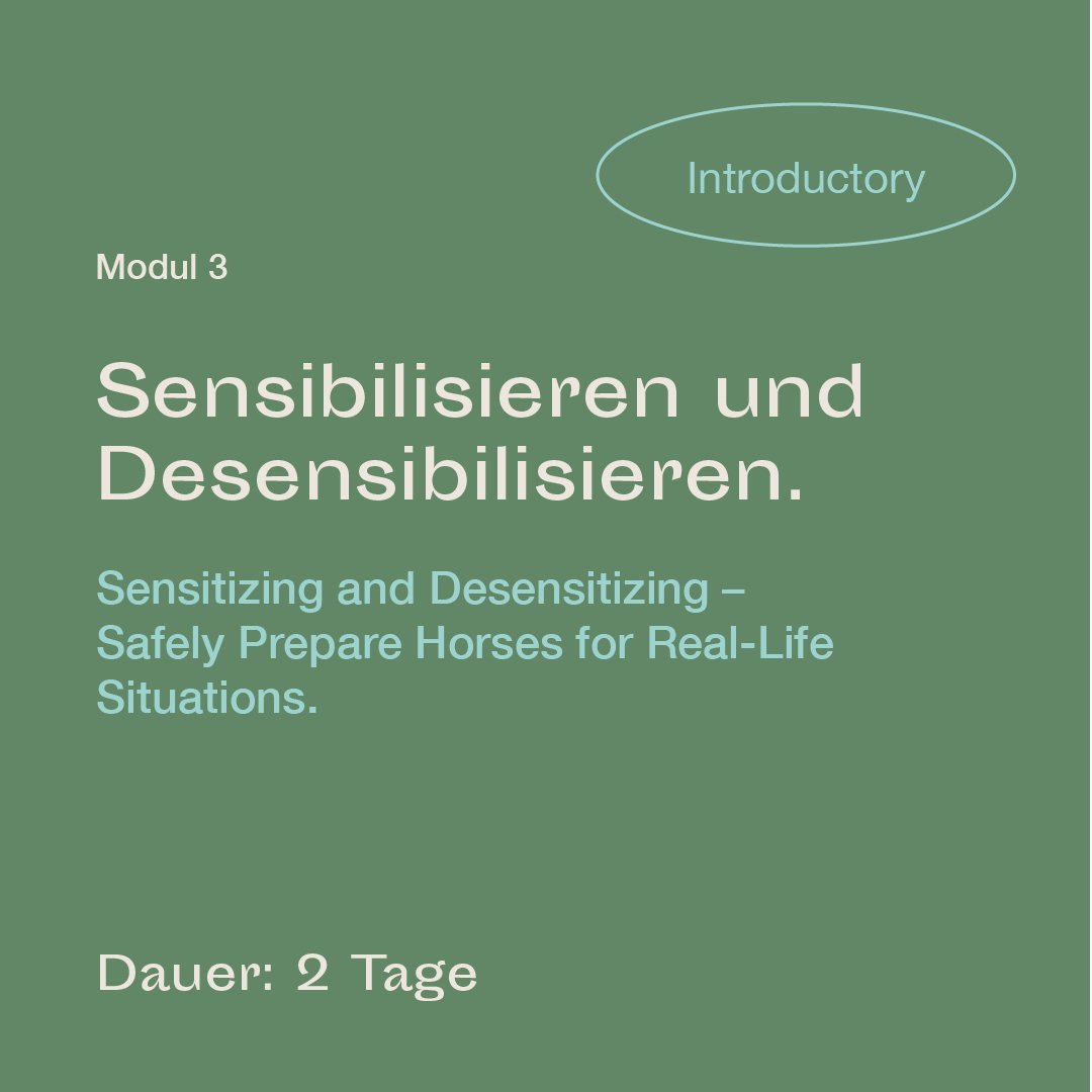 mrlce-introductory-modul-3.jpg