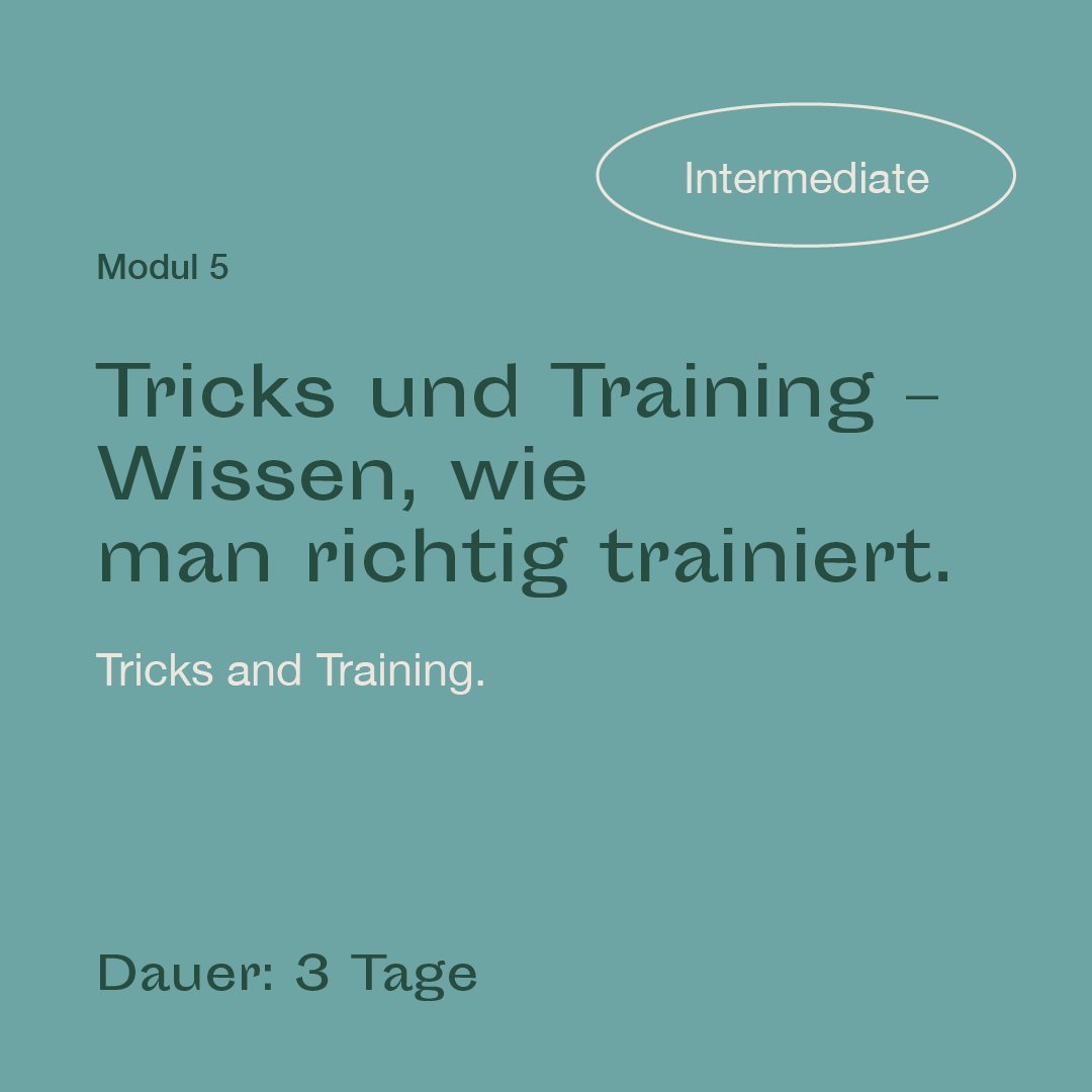 mrlce-intermediate-modul-5.jpg
