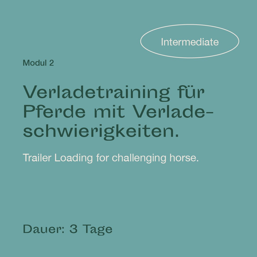 mrlce-intermediate-modul-2.jpg