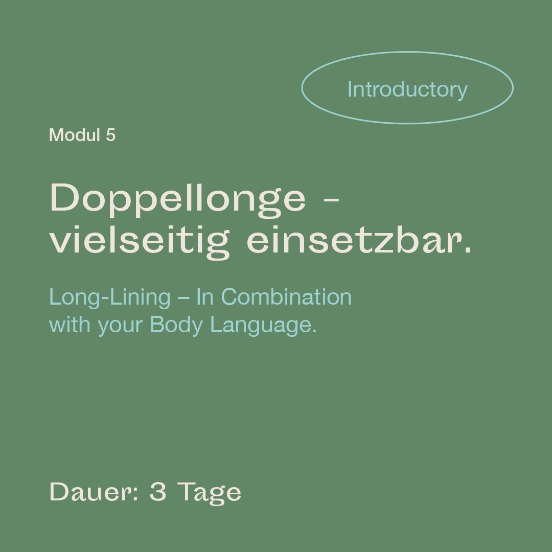 mrlce-introductory-modul-5.jpg