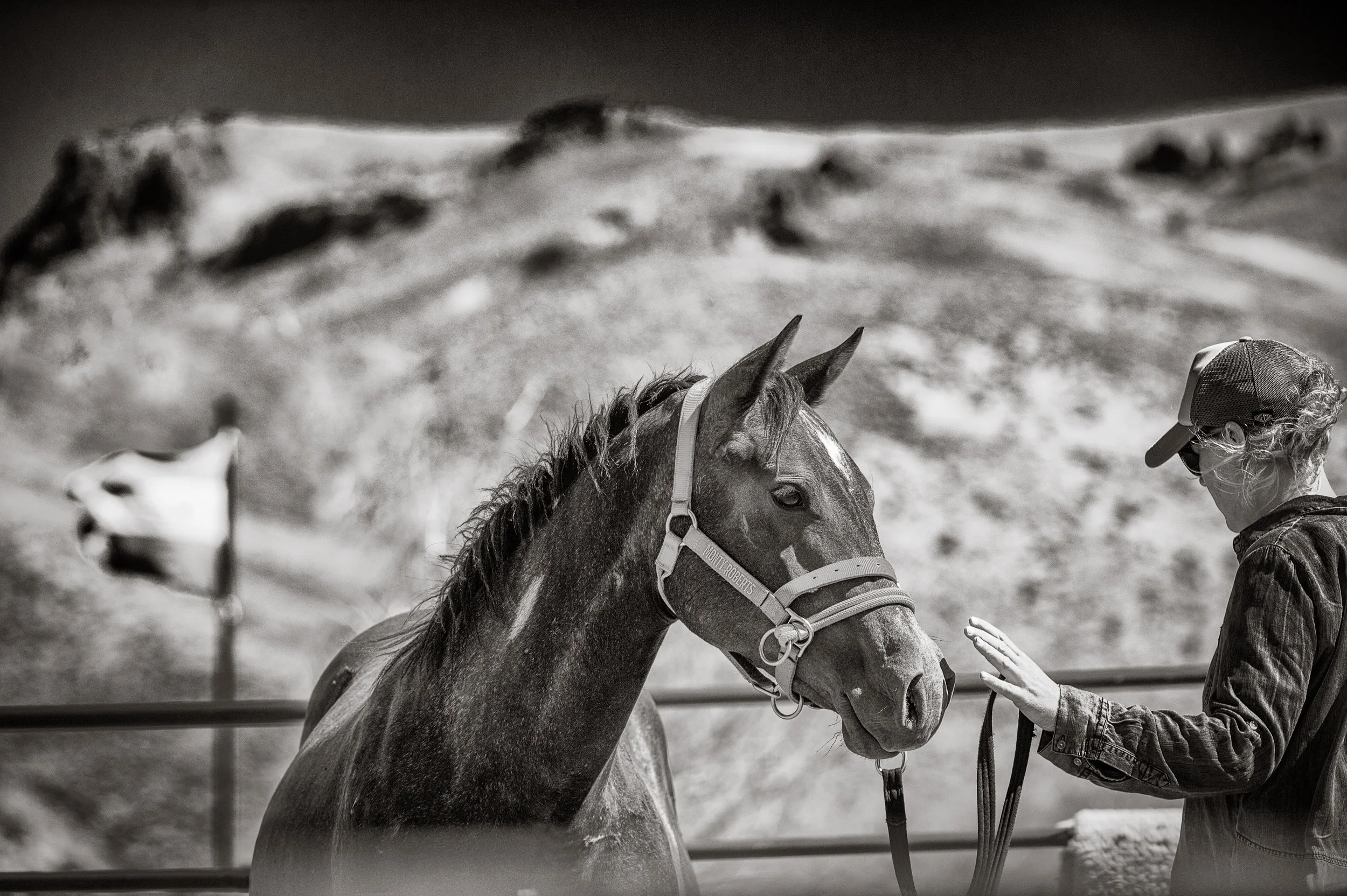 Ein Mensch streichelt einen Hund im Freien auf einer leeren Straße, im Hintergrund Berge, in schwarz-weiß.