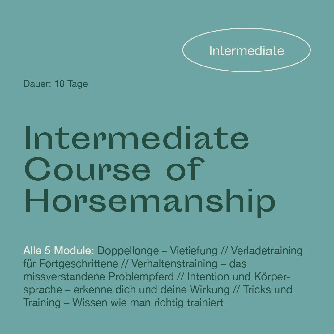 mrlce-intermediate-course-of horsemanship.jpg