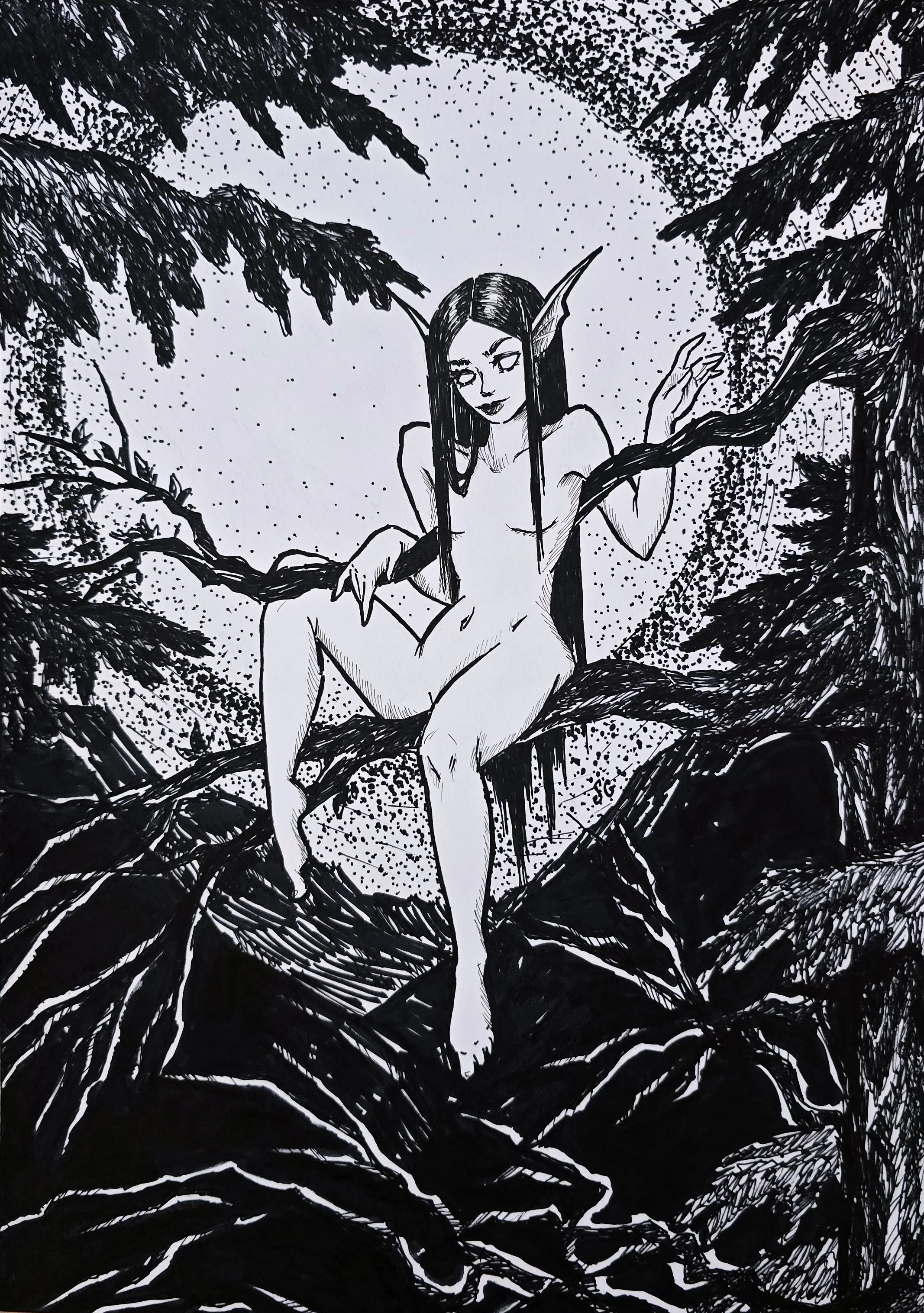 A black and white drawing of a female elf with long dark hair and pointed ears, sitting on a branch in a dense forest at night with a starry sky above.