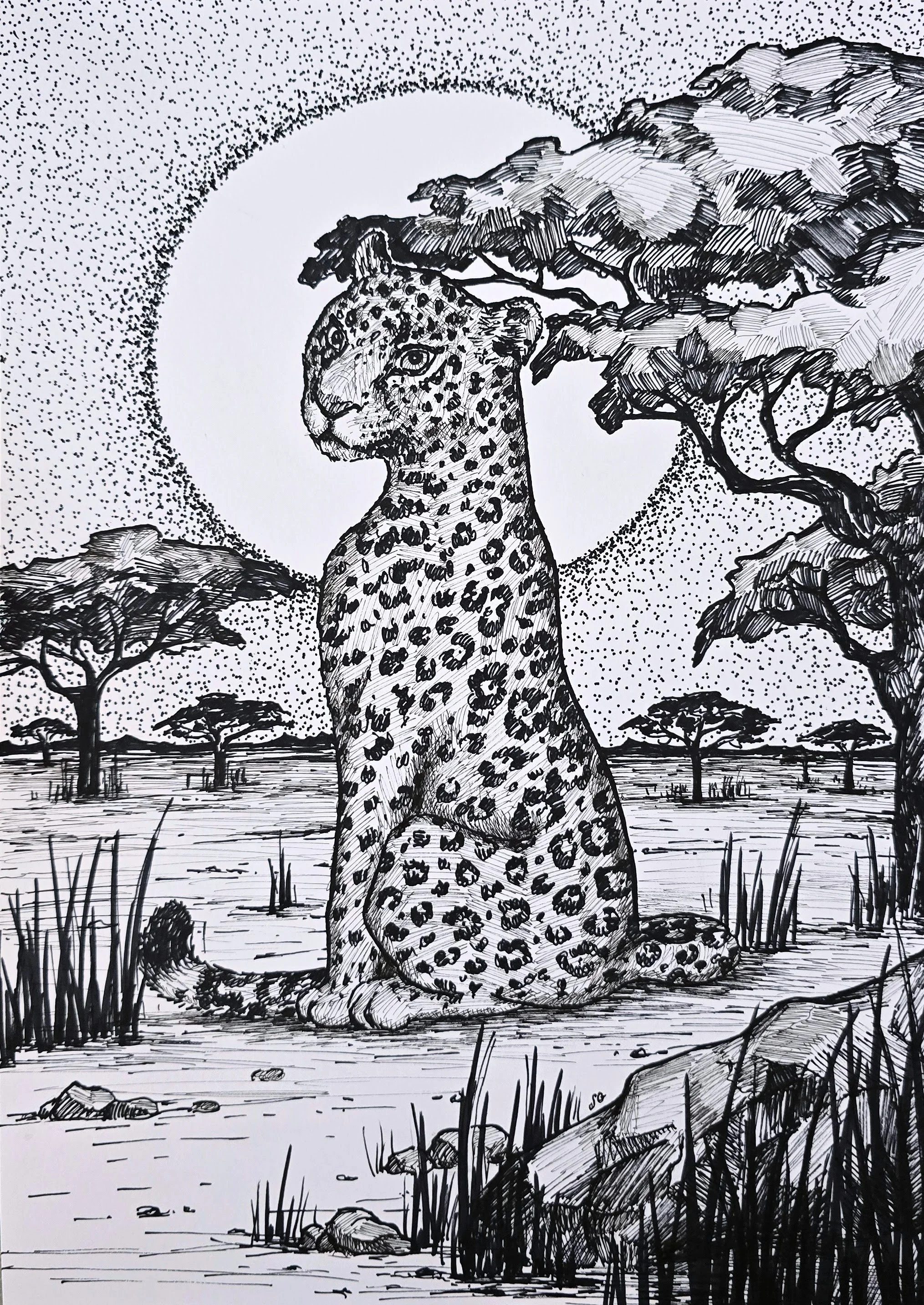 Black and white ink drawing of a cheetah sitting, with trees and mountains in the background, under a large moon in the sky.