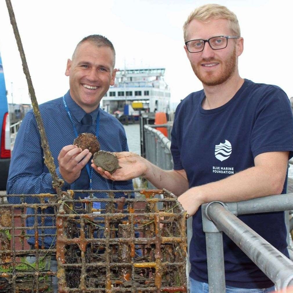 Two men holding oysters near a metal cage, standing on a dock with a ferry in the background.