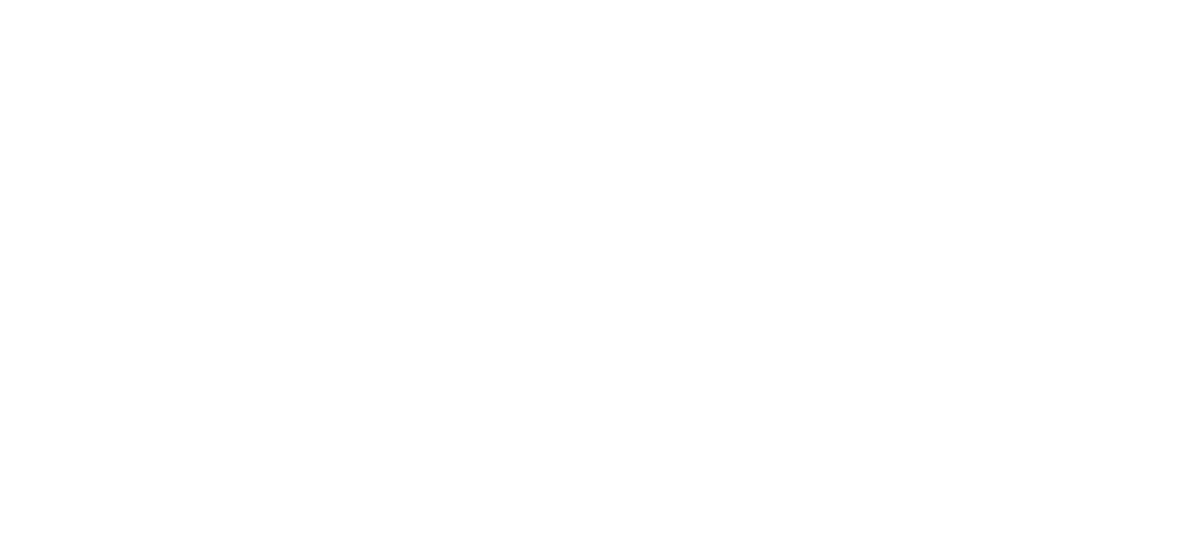 NaviNest Consulting