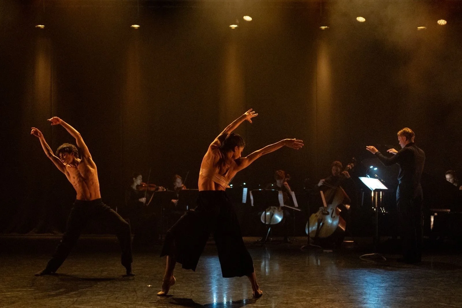 Sextet with Royal Ballet and Opera dancers Performing a piece by Fergus Brignall and Denilson Almeida