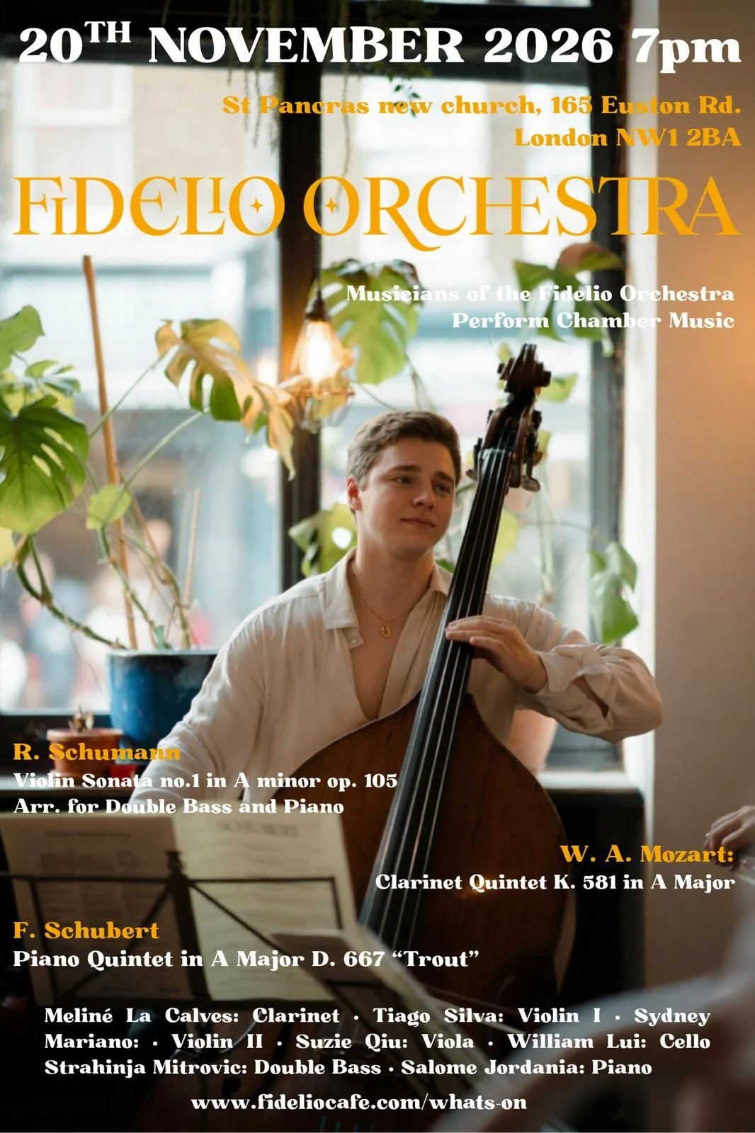 Fidelio Quintet with Strahinja and Salome