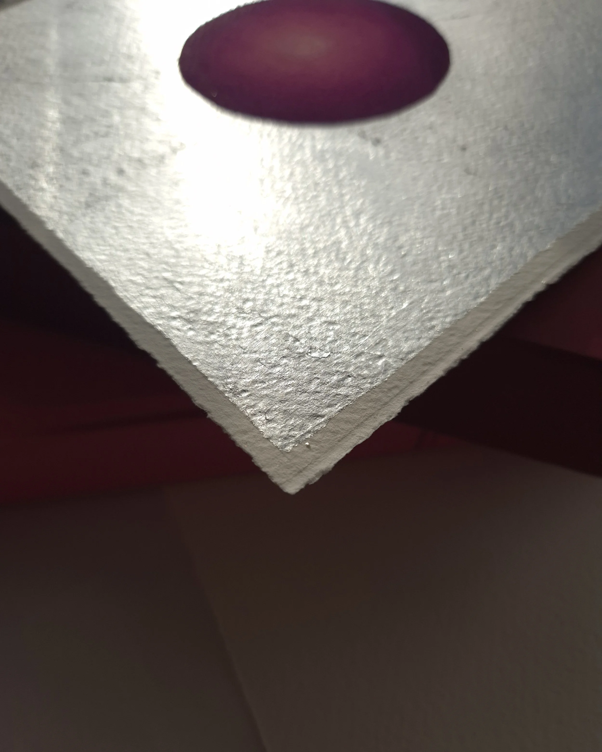 20241115_134056.jpg