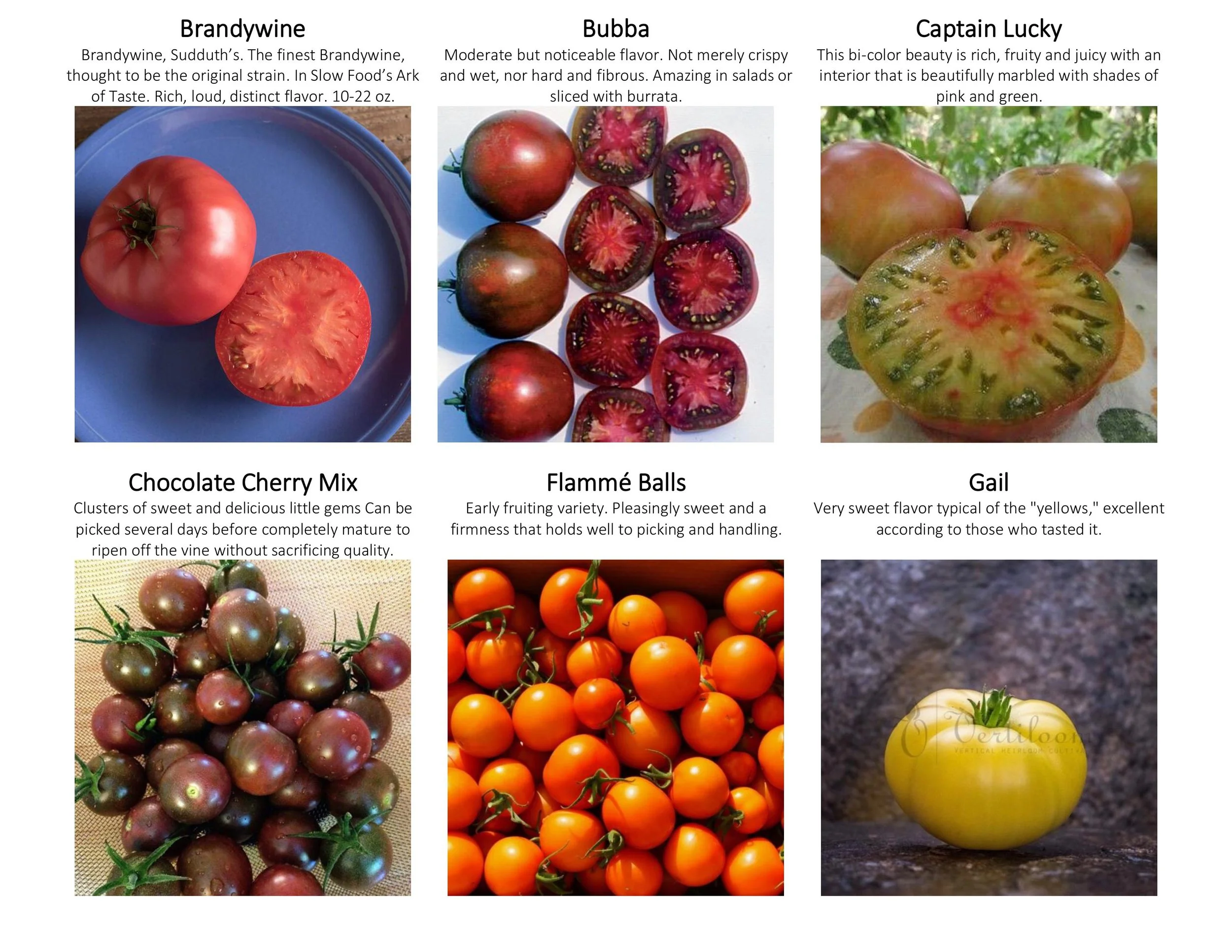 tomato catalogue with guide-images-2.jpg
