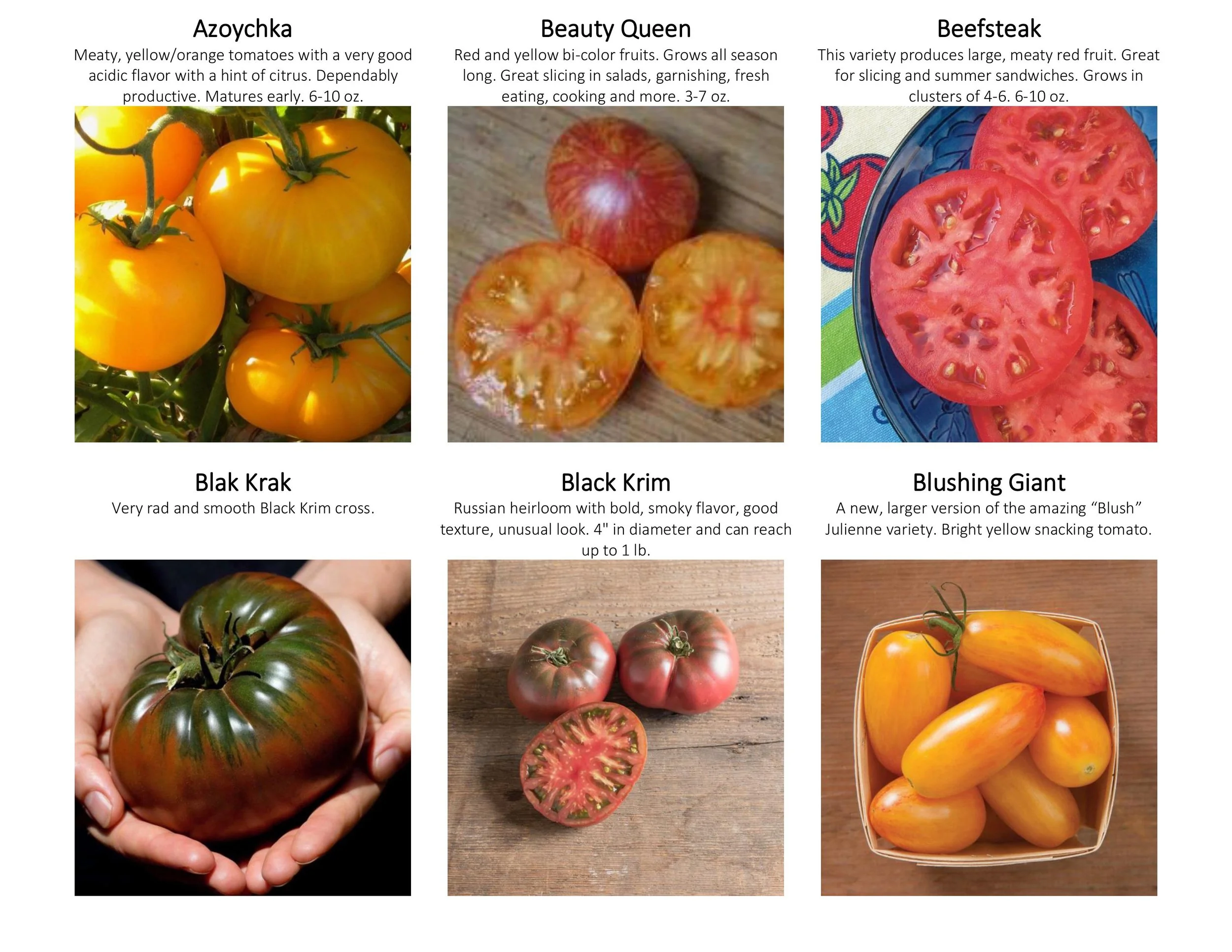 tomato catalogue with guide-images-1.jpg