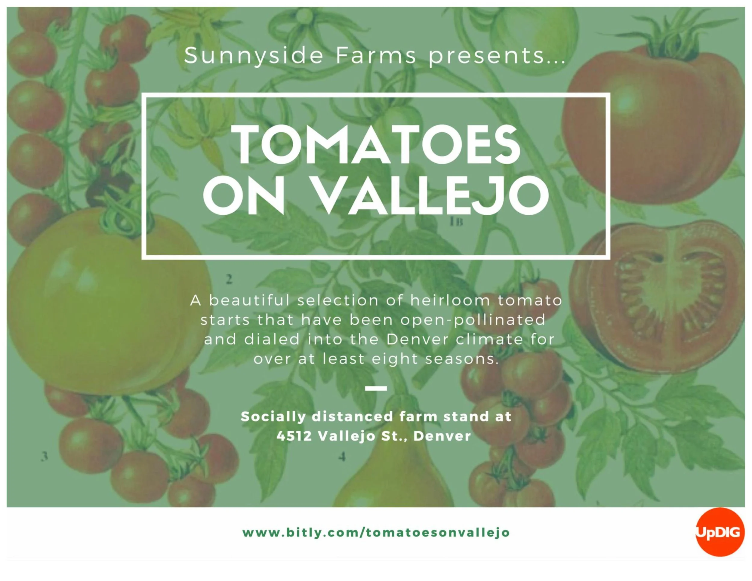 tomato catalogue with guide-images-0.jpg