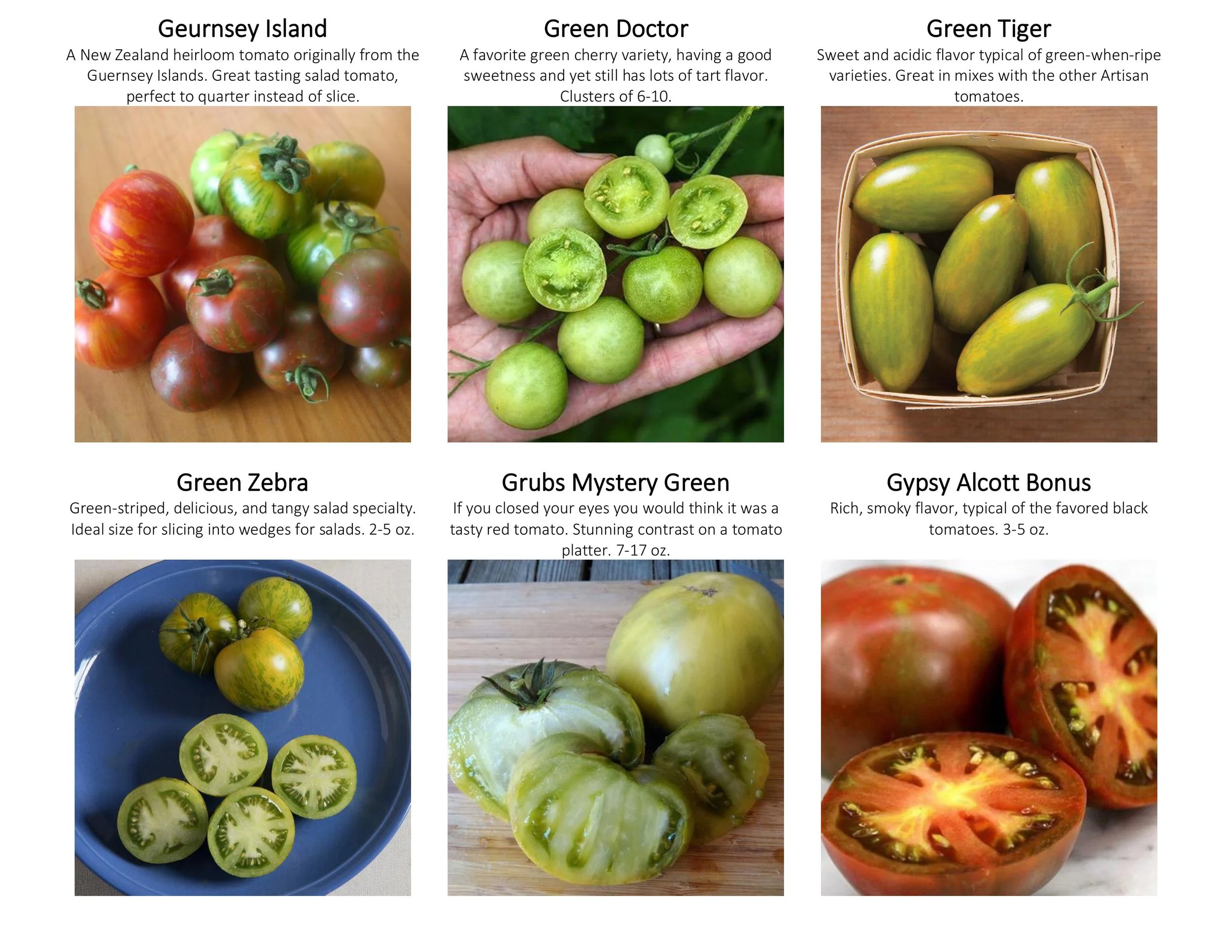 tomato catalogue with guide-images-3.jpg