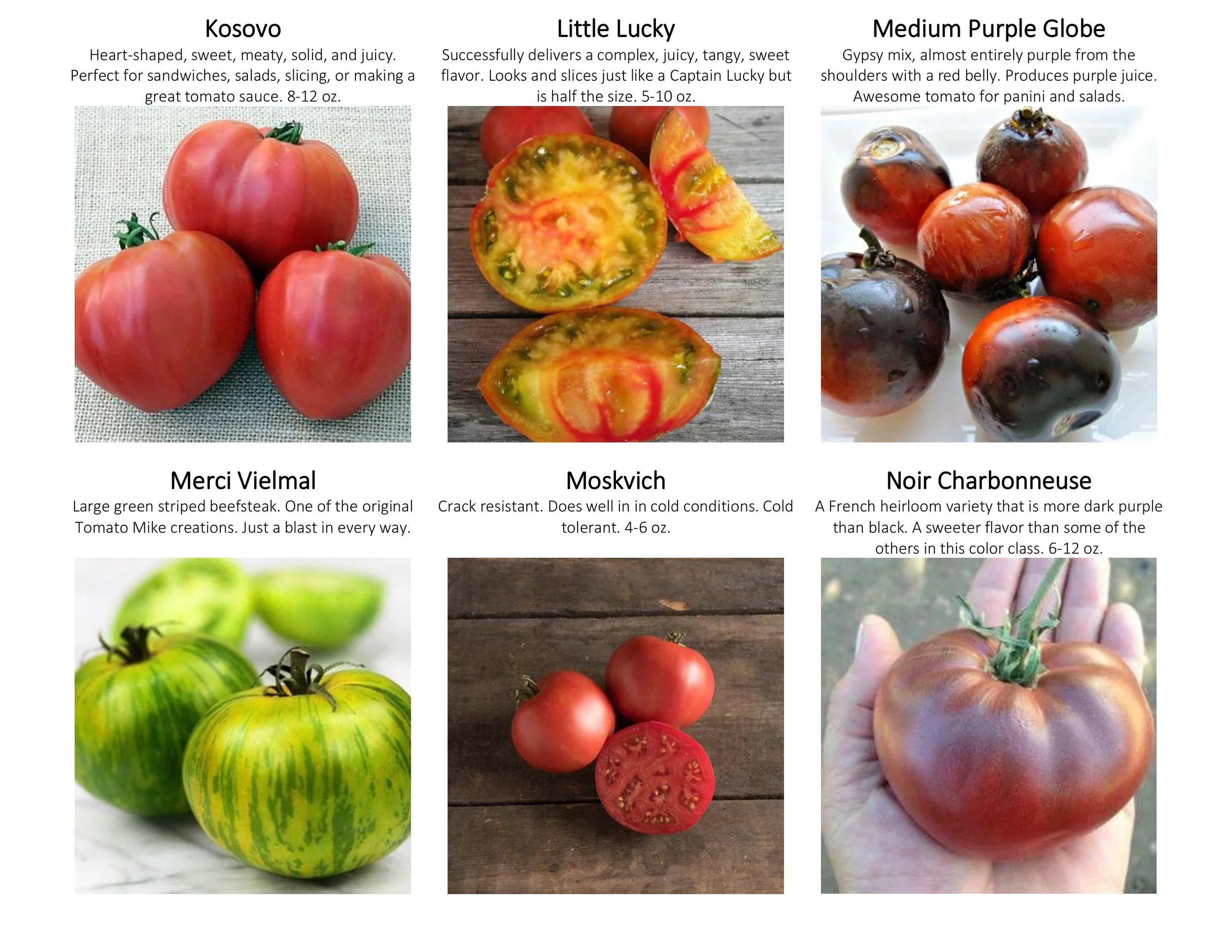 tomato catalogue with guide-images-4.jpg