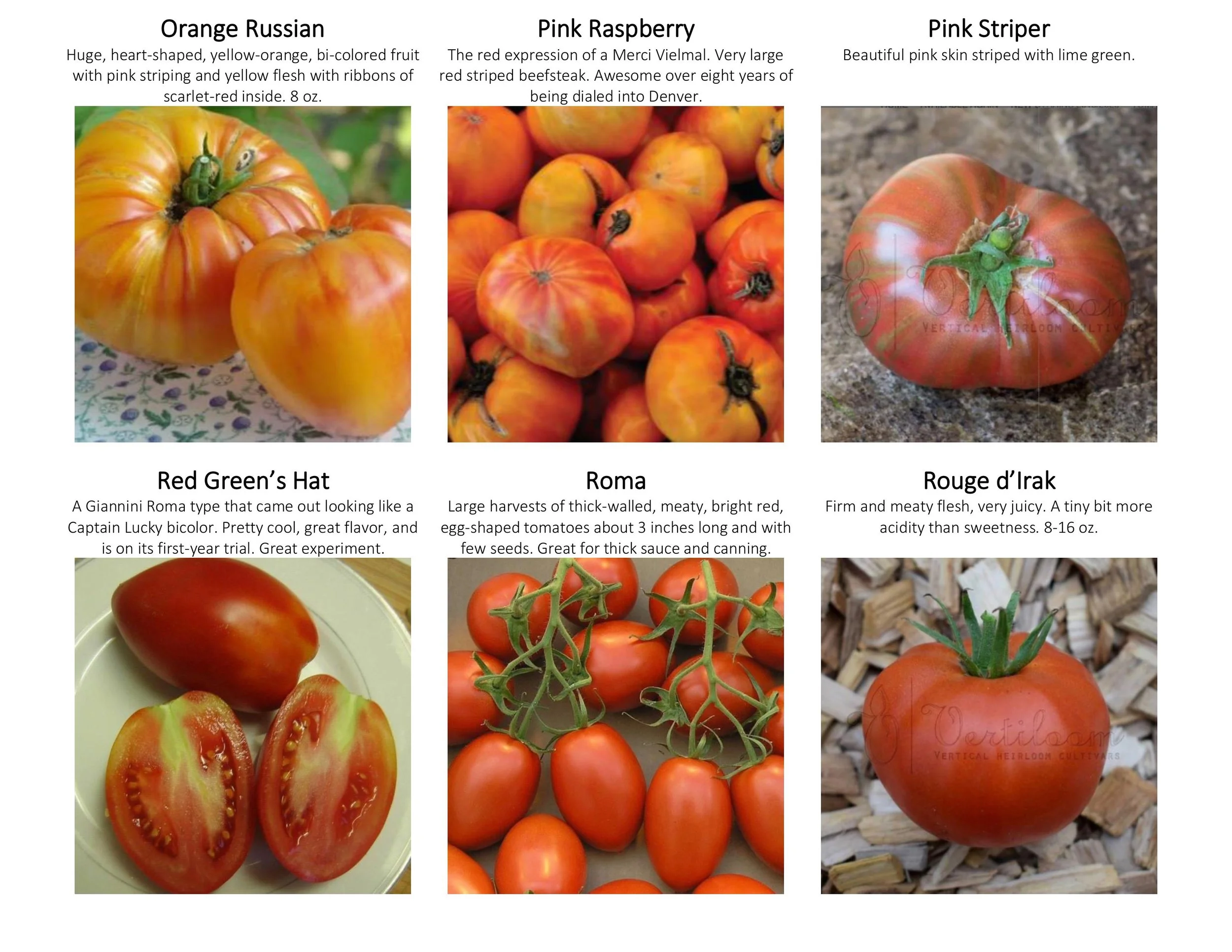 tomato catalogue with guide-images-5.jpg