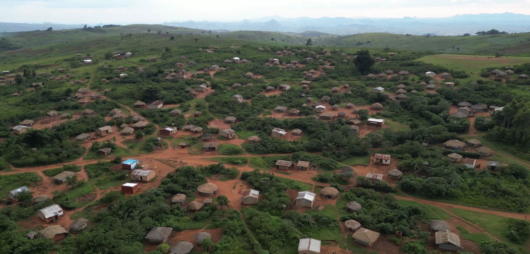 africa scanform homepage.JPG