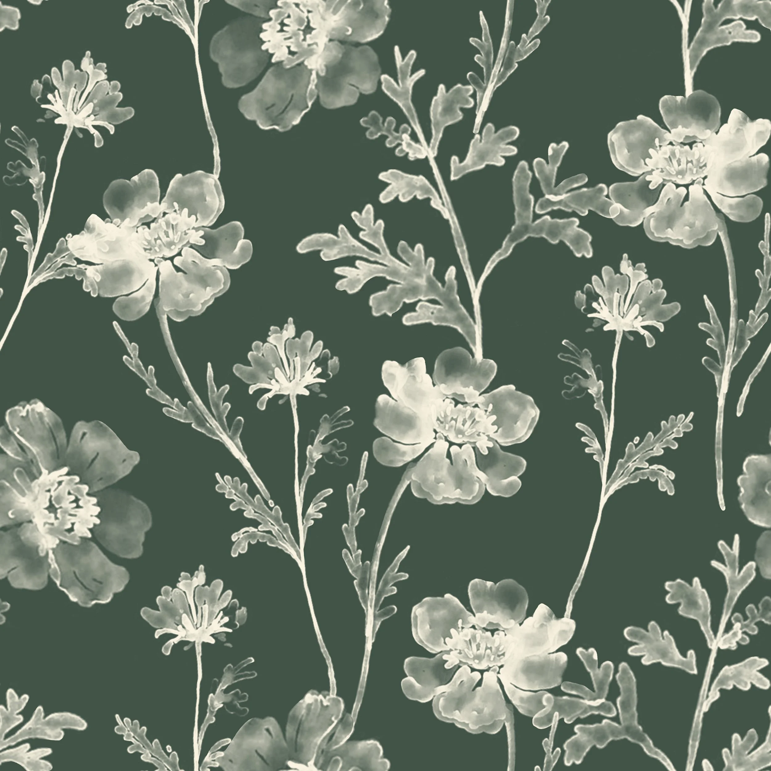 CMT ART - TOPMAN 536.jpg