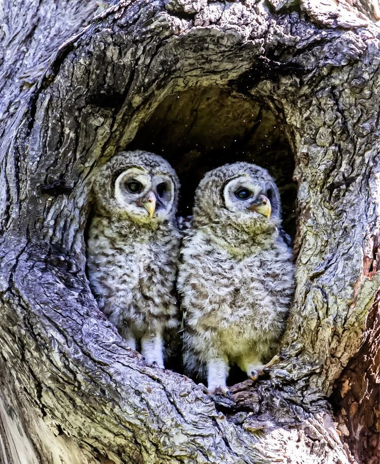 image-asset (2).jpeg