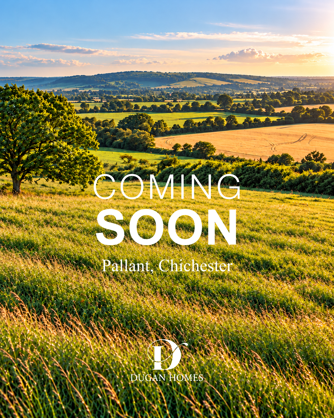 pallant-chichester.png