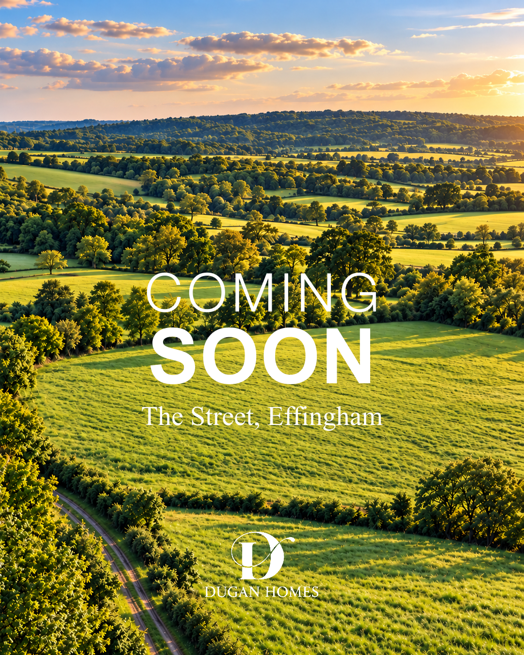 the-street-effingham.png