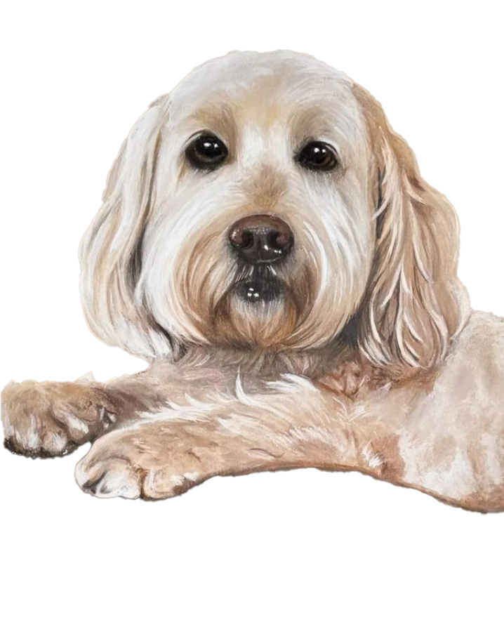 Dog_NoBackround.png