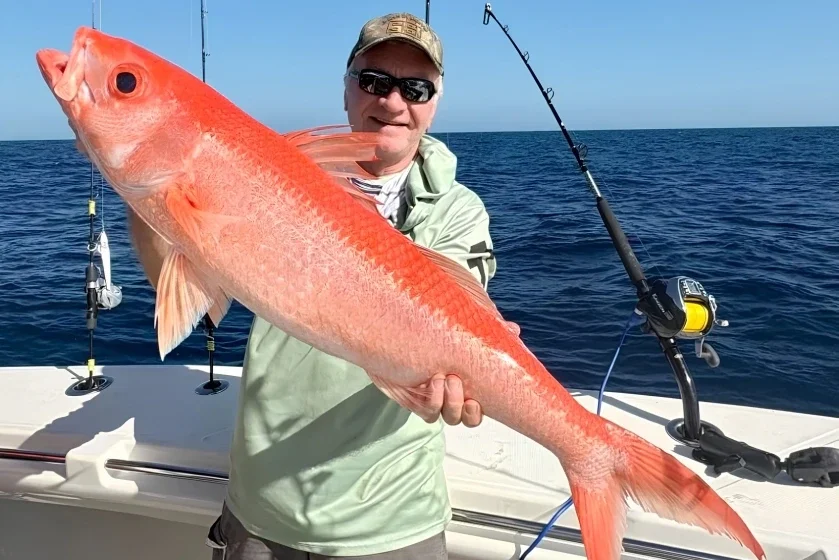 American Red Snapper Season: What Anglers Need to Know Before Booking