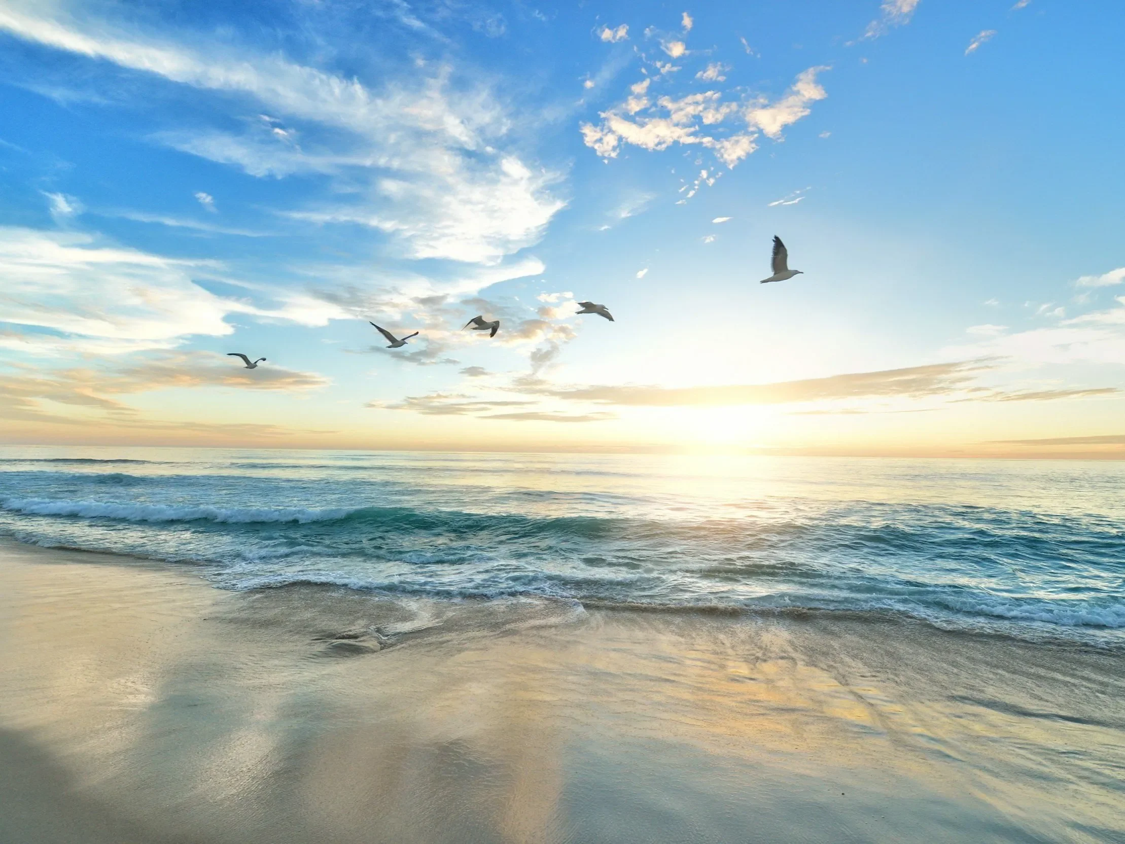 Burial at Sea – Gulf Coast – tranquil morning beach with seagulls flying over gentle waves.