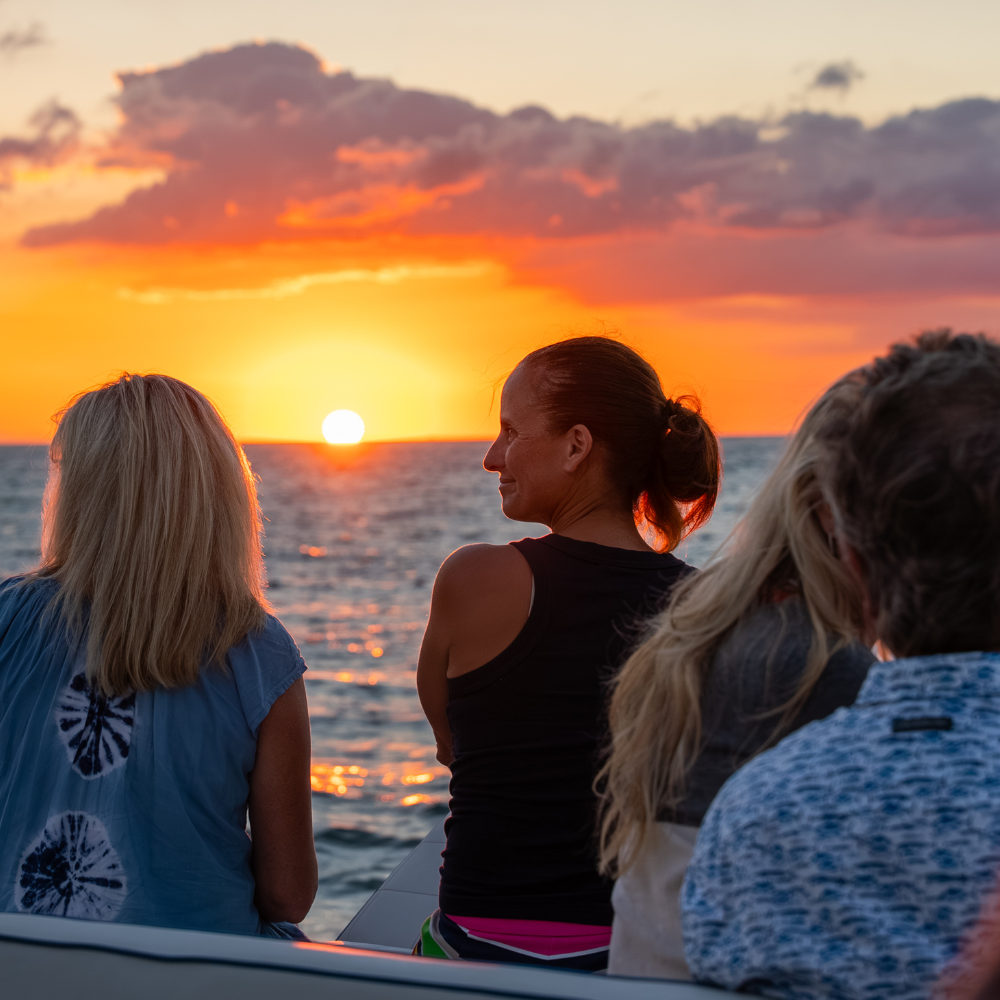 Sunset Charter