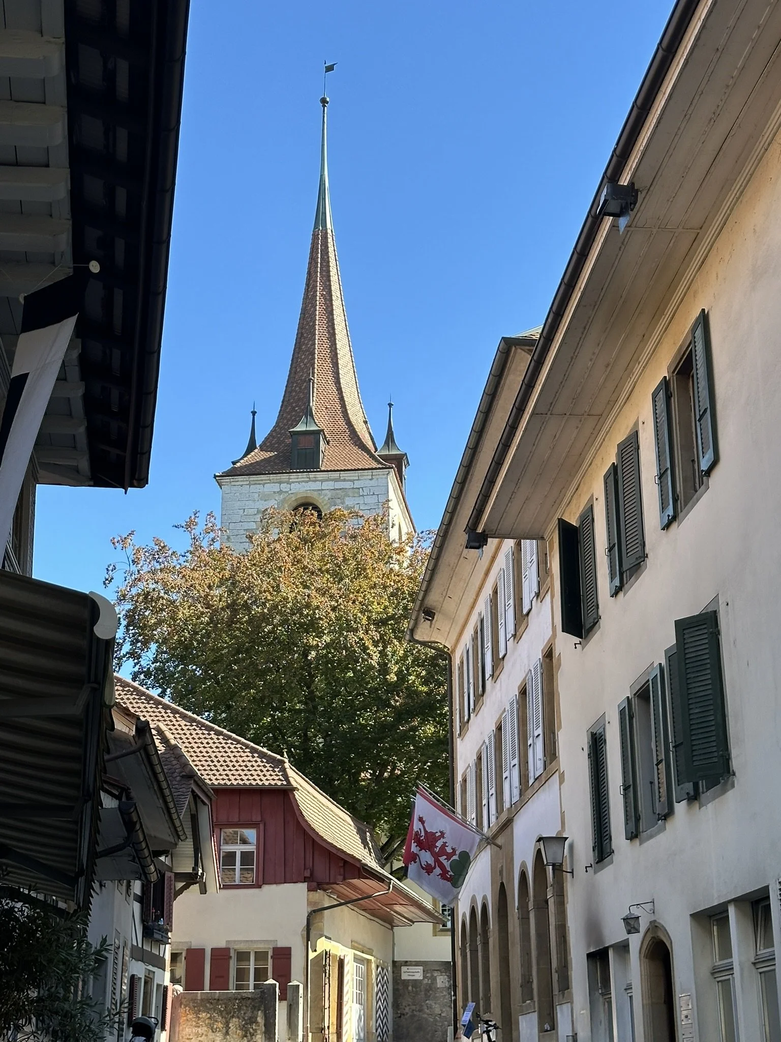 IMG_5559.JPEG