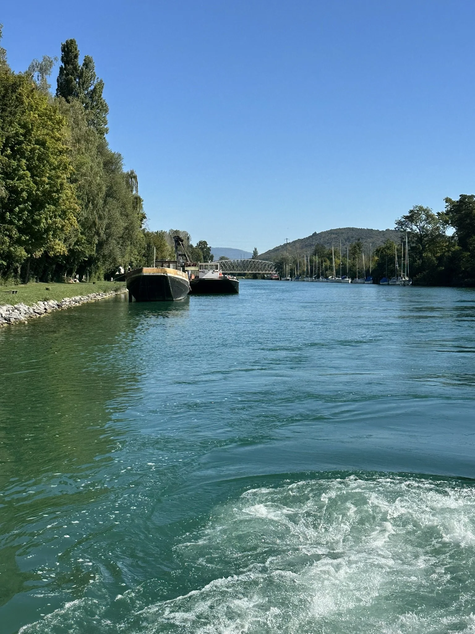 IMG_5518.JPEG