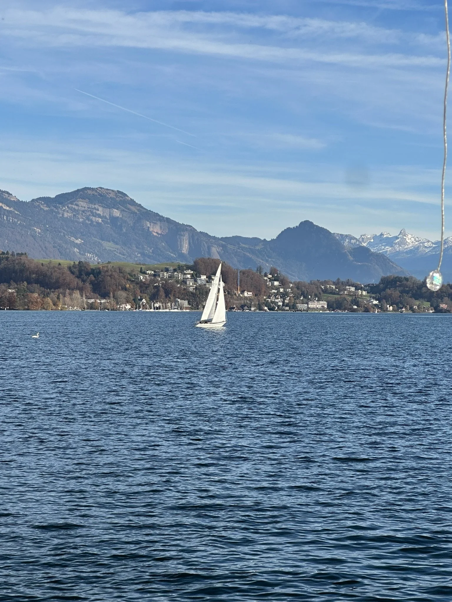 IMG_9166 - Kopie.JPEG