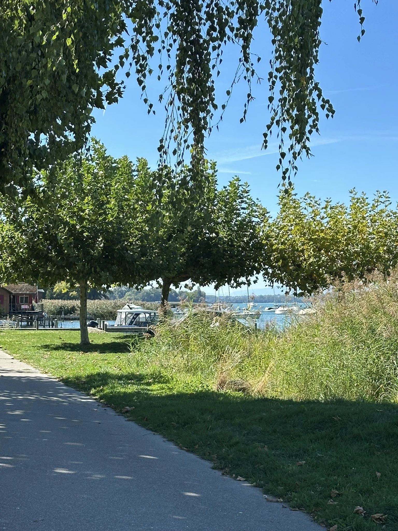 IMG_5538.JPEG