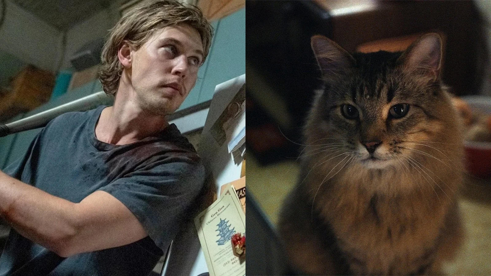 ‘Caught Stealing’ review: Darren Aronofsky and Austin Butler deliver slick, sexy thriller