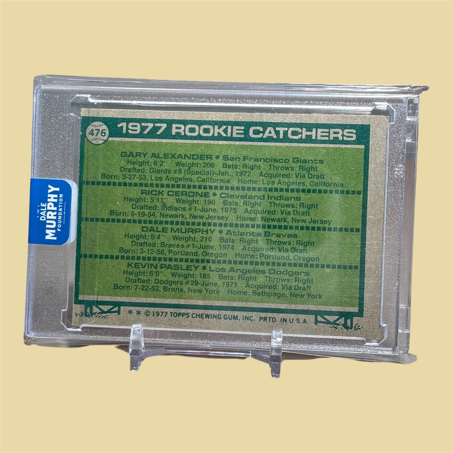 Photoroom_20261011_093403.JPG