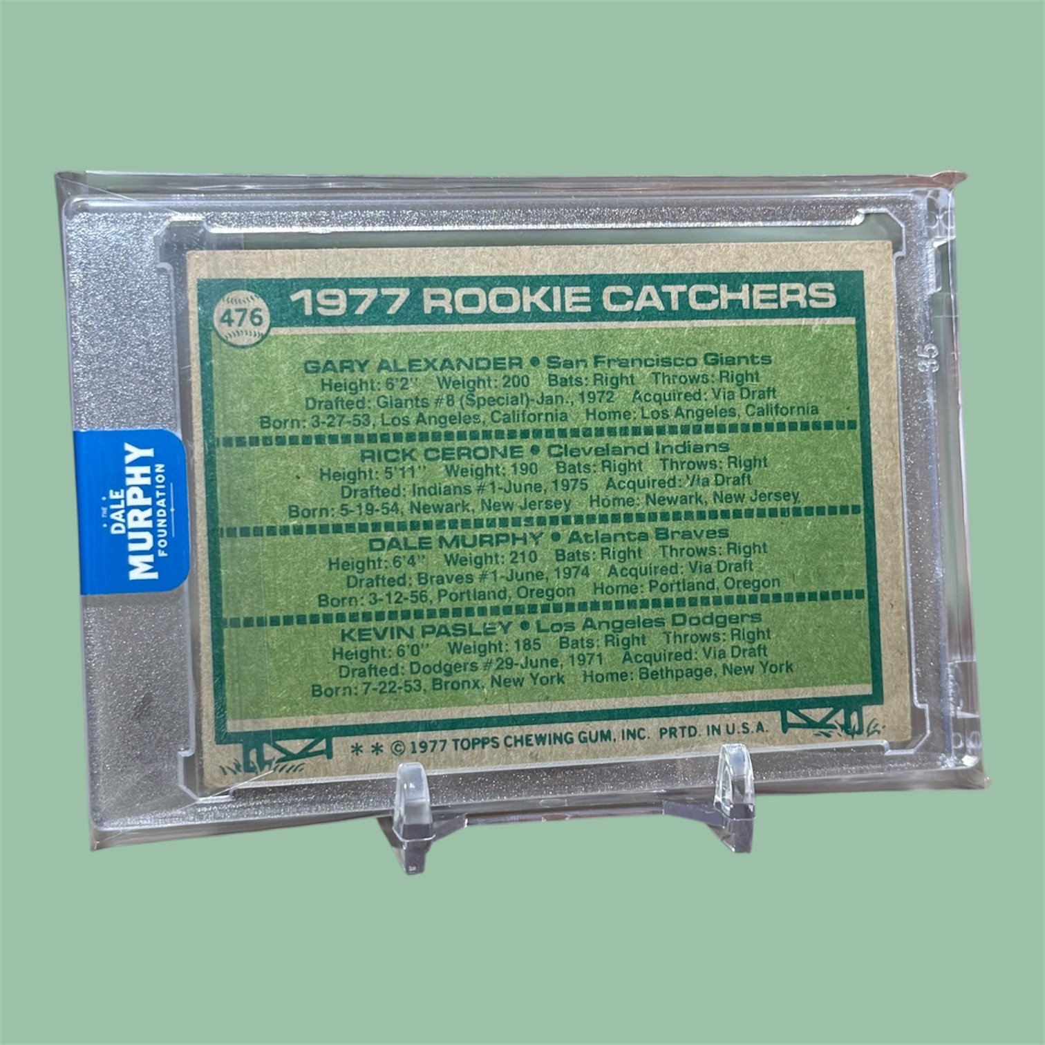 Photoroom_20261011_093235.JPG