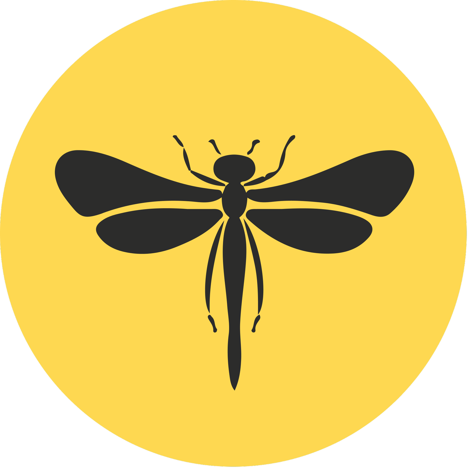 Design by Mosquito