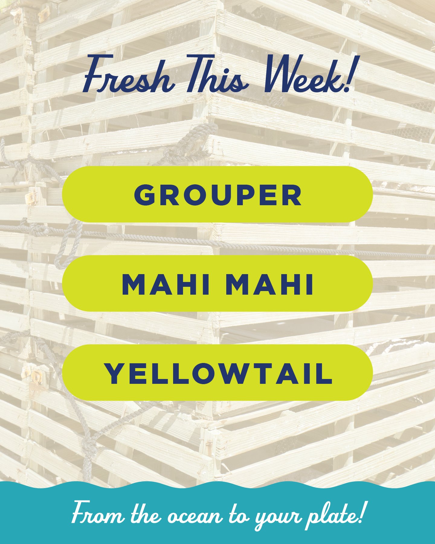 Fresh this week! (5/28)

Filleted, on ice and ready to go&ndash;we have a fantastic selection of local fish this week. Grouper, Mahi Mahi and Yellowtail Snapper are ready to pick up. Stop by and say hey, 9am-6pm every day except Sunday, 9am-4pm!

#Ea