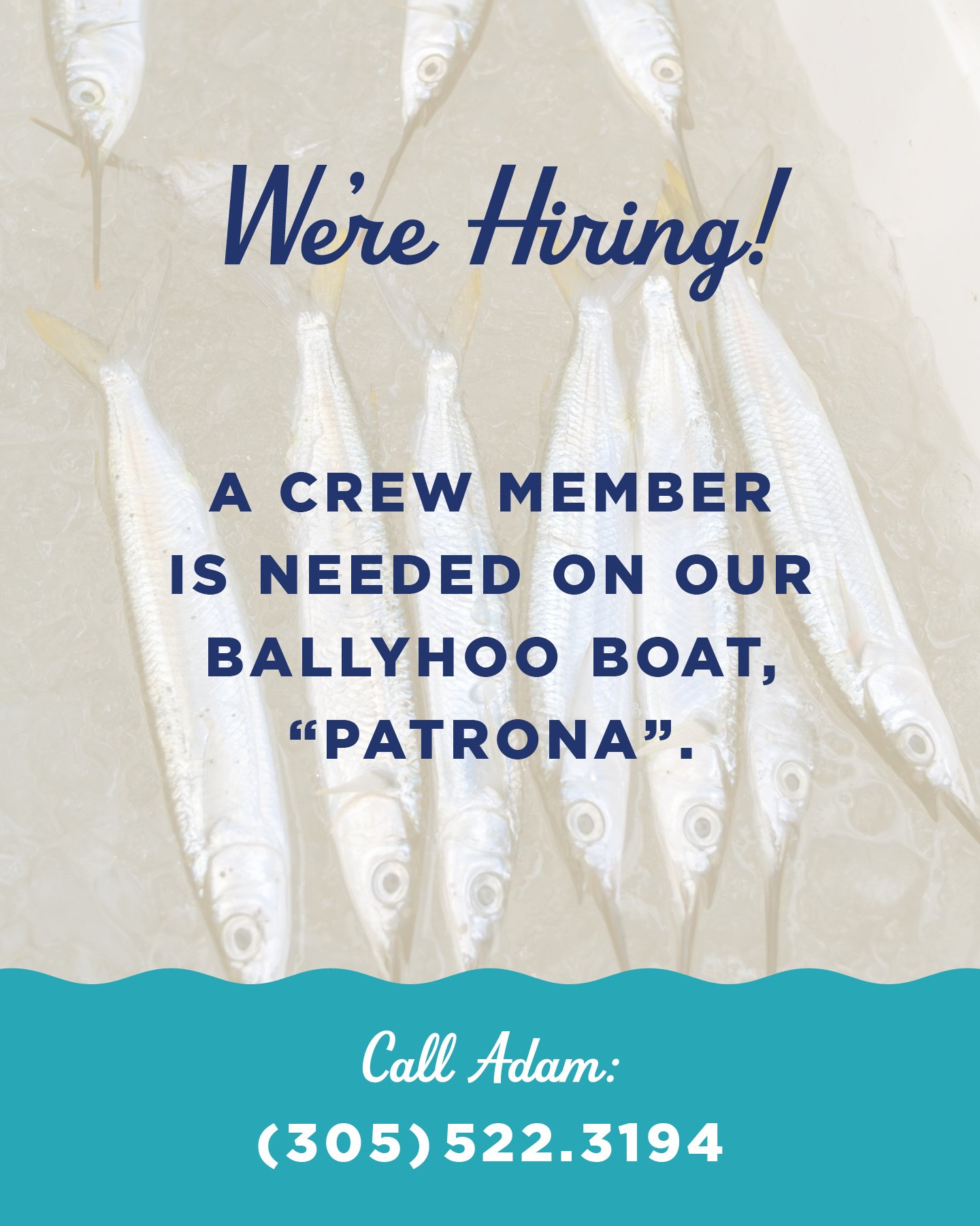 We&rsquo;re hiring a crew member for our ballyhoo boat, &ldquo;Patrona.&rdquo; 

If you are interested in joining our team, call Adam 305-522-3194 for more info.