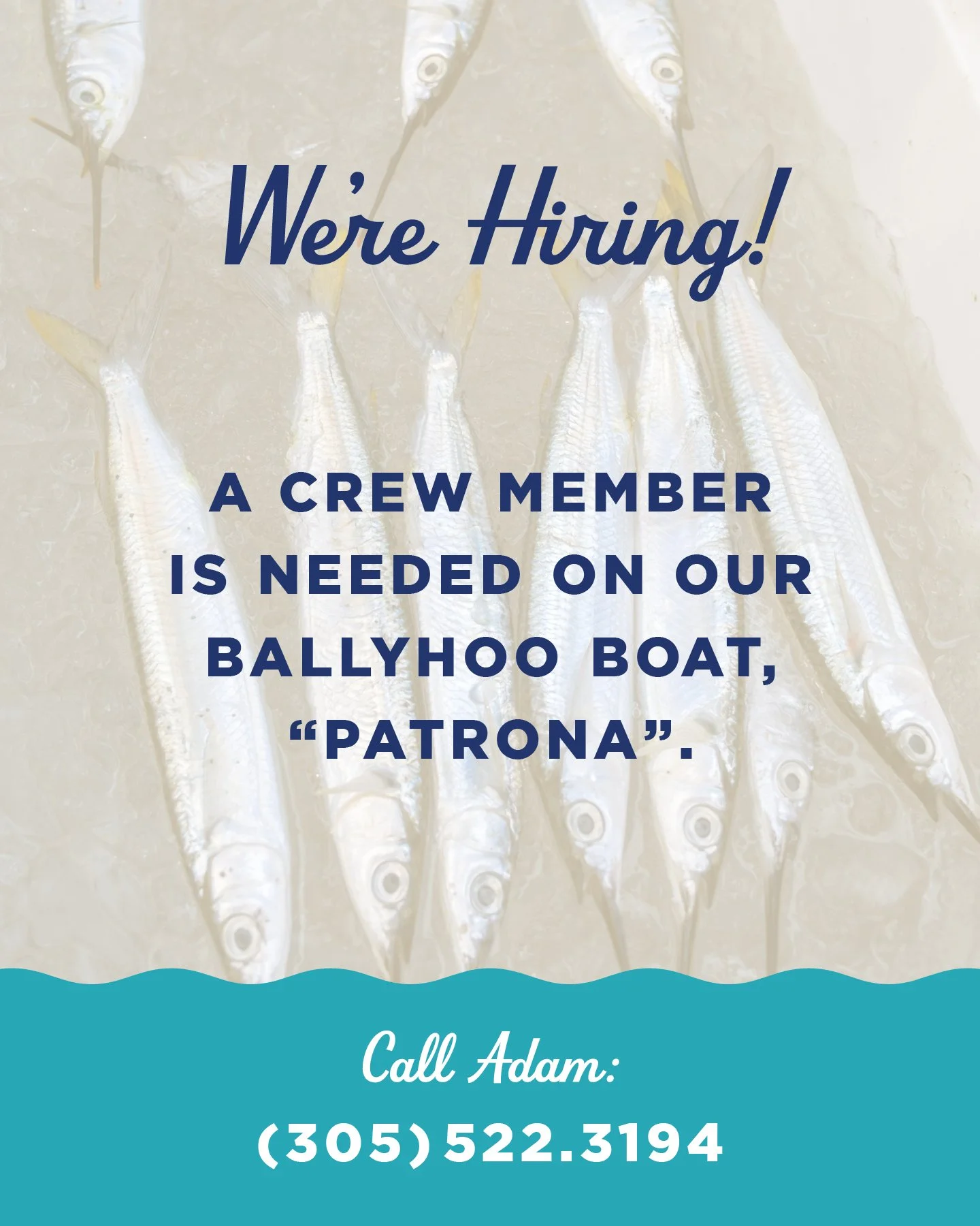 We&rsquo;re hiring a crew member for our ballyhoo boat, &ldquo;Patrona.&rdquo; 
If you are interested in joining our team, call Adam 305-522-3194 for more info.