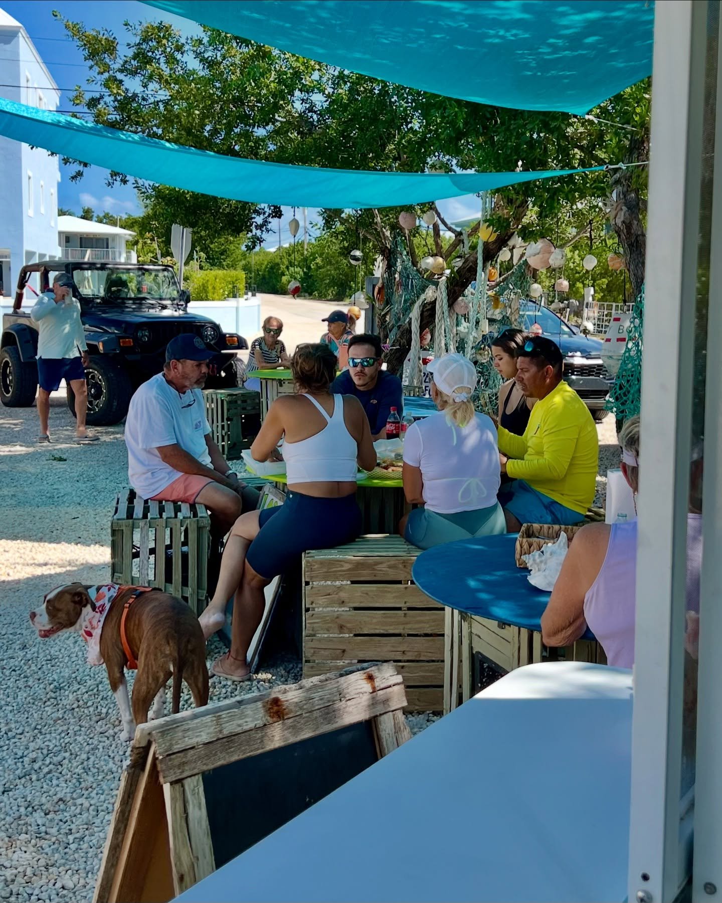 🦀 Saturdays are for cracking stone crab claws! Join us at the Seafood Shack today 11am-5pm and dig in!

#EatFloridaSeafood
#StoneCrab
#StoneCrabSeason