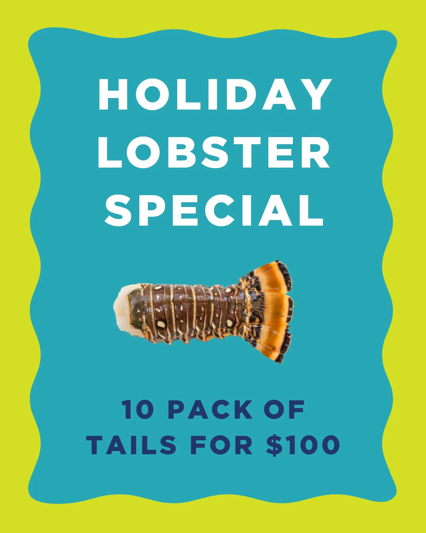 Holiday meals = handled. 🦞 

Grab our limited 10-pack lobster tail special for $100 and make your table a Florida-fresh showstopper!

Stop by to pick some up, open Monday&ndash;Saturday 9am&ndash;6pm and Sunday 9am-4pm. See you here!

#EatFloridaSea