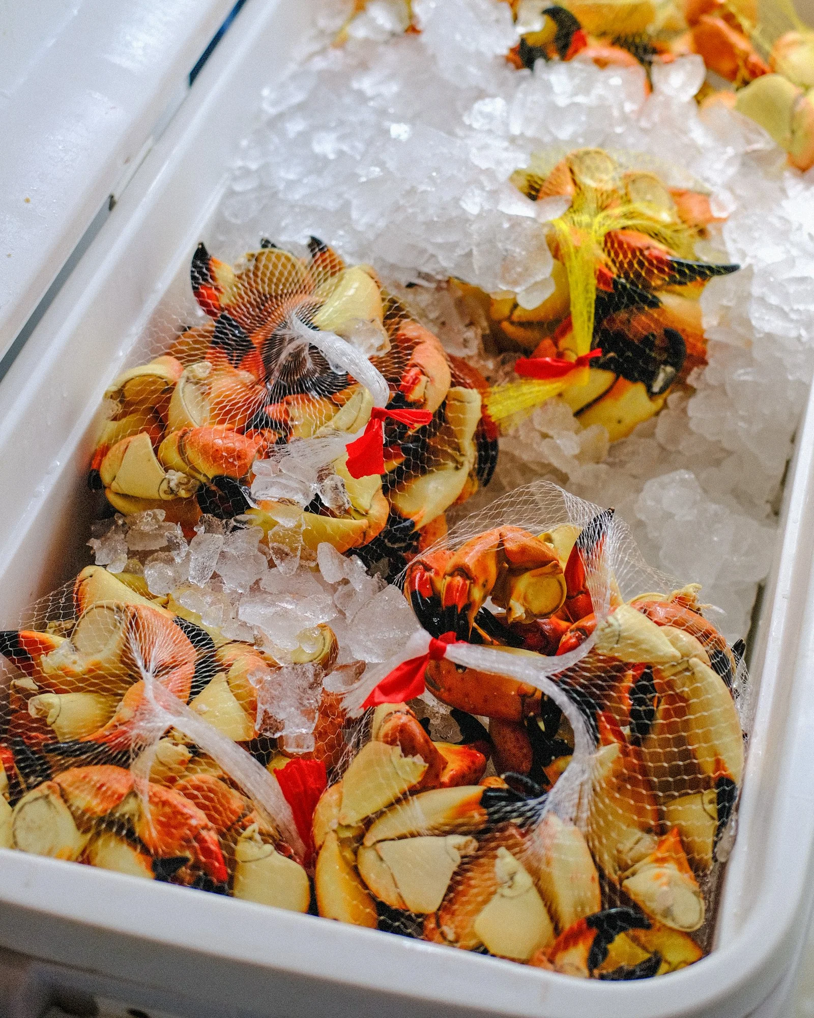 Start your week with Stone Crabs 😋

Fresh from the waters of the Florida Keys. Shop where the locals shop!

 #eatfloridaseafood #FreshSeafood #StoneCrab #ShopLocal #KeysSeafood #FloridaKeysEats