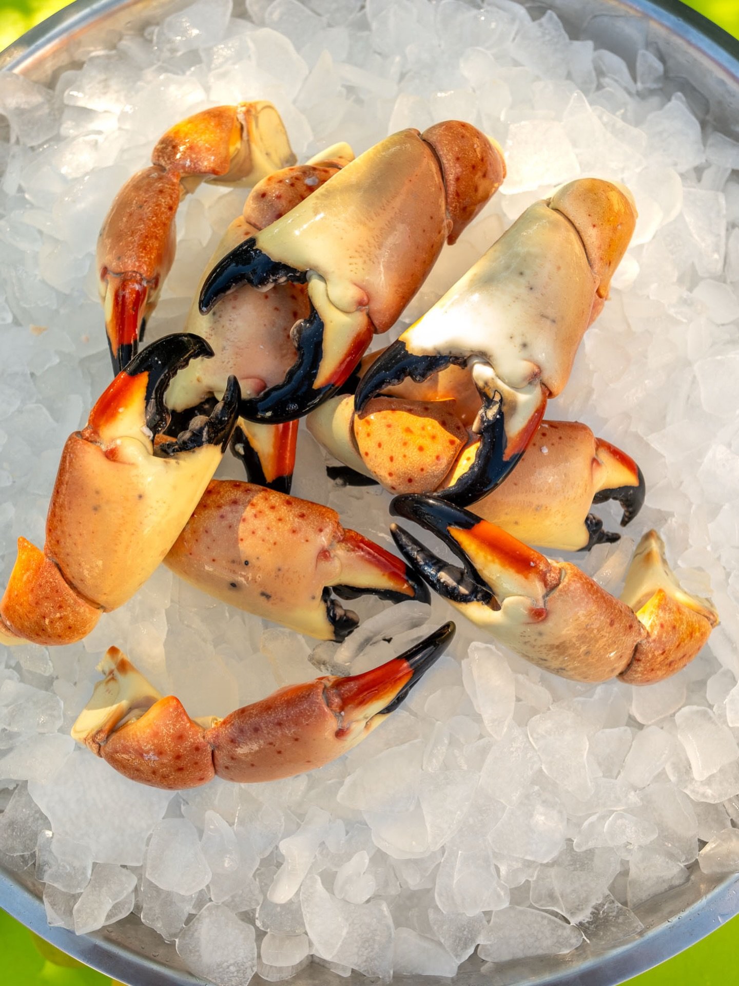 Not going to make the @homesteadseafoodfestival this weekend? No problem! Stop by the market for fresh Stone Crab, Lobster, and much more!

If you do plan on going to the festival, we will see you tomorrow or Sunday!

#eatflordiaseafood