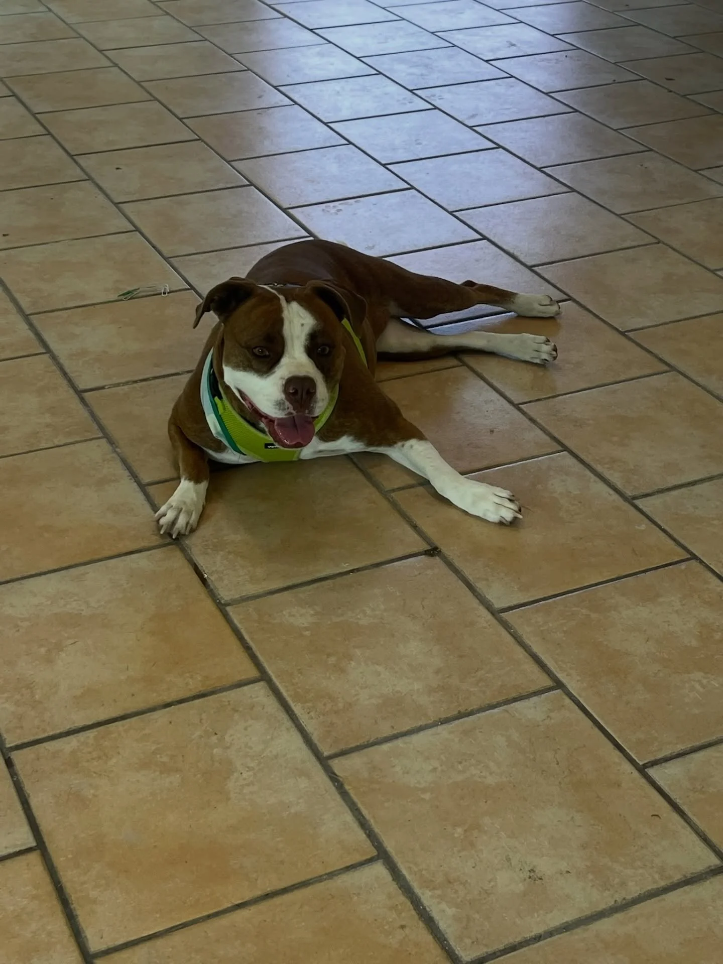 Can anyone guess where tiki is? 😎

We&rsquo;ve got some exciting news on the horizon! Stay tuned!