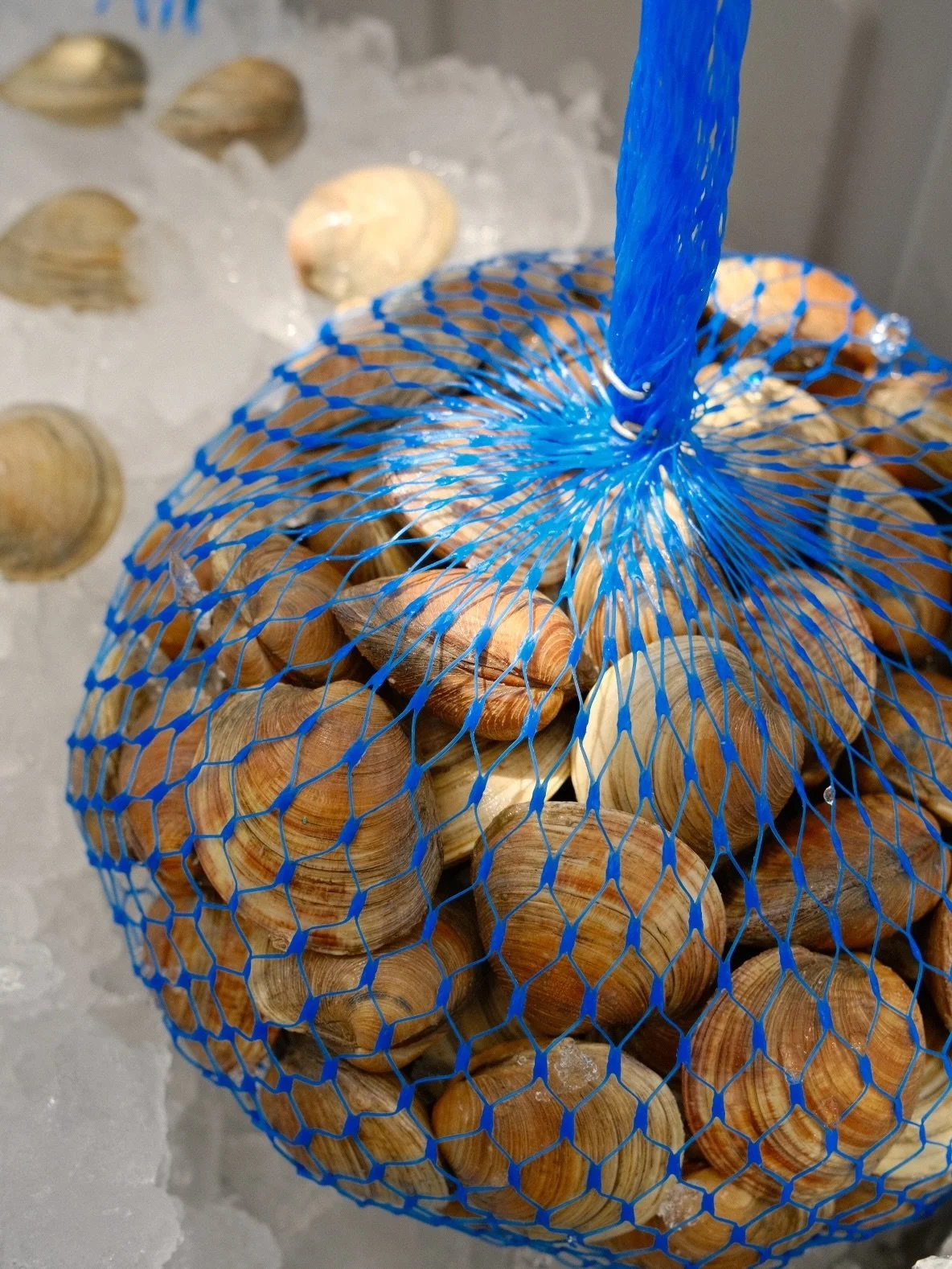 We are now stocking middleneck clams, perfect for steaming and serving with any of our Cow&rsquo;s Rule butters. Stop by the market to get yours today! #eatfloridaseafood